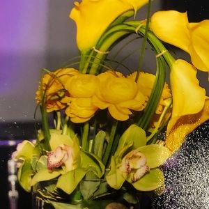 Meet your Posher, Sepideh